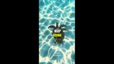 Keep Going! "It does not matter how slowly you go as long as you do not stop." A motivational video with the beautiful words of Confucius...